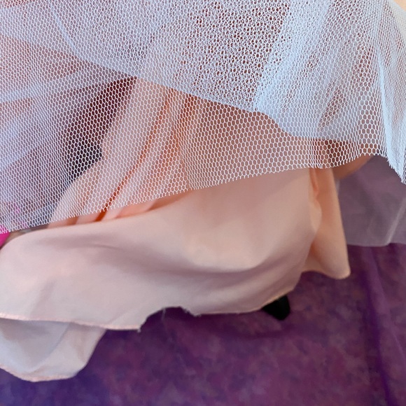 David’s Bridal Dress. - Picture 6 of 10